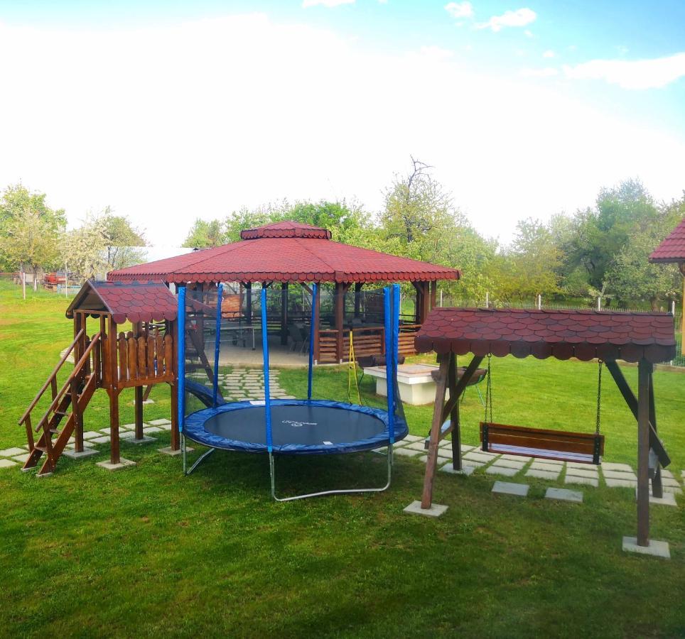 Pensiunea Casa Hortopan Тыргу-Жиу Экстерьер фото